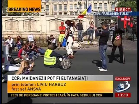 Liviu Harbuz: Nu este o lege a eutanasierii, este o lege a adopţiei