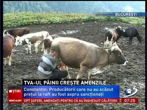 Reducerea TVA-ului la pâine a adus amenzi record în agricultură