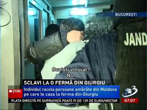 Trăiau la limita supraviețuirii! Mai mulți moldoveni erau sclavi la o fermă din Giurgiu
