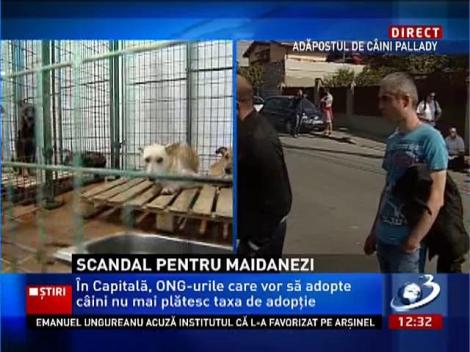 Paznicii de la adăposturile de animale bruschează oamenii dacă încearcă să facă poze