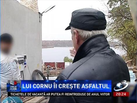 Exces de Putere: Lui Georgică Cornu îi crește asfaltul în curte