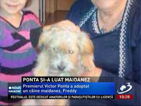 Victor Ponta a adoptat un maidanez