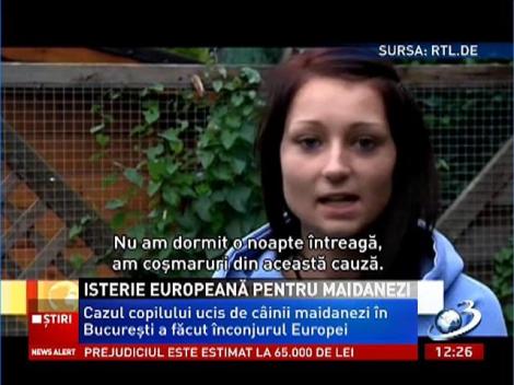 Isterie europeană pentru câinii maidanezi