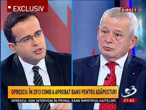 Sinteza Zilei: Cum vrea Oprescu să rezolve problema câinilor fără stăpân