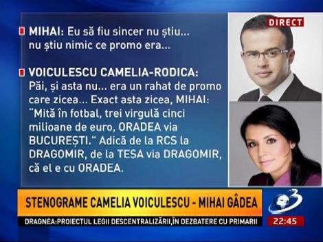 Sinteza Zilei: Proba cheie a procurorilor, o banală discuţie de afaceri între Mihai Gâdea şi Camelia Voiculescu