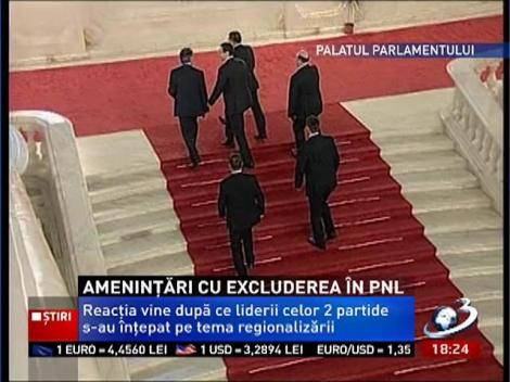 Scandal între PNL şi PSD, pe tema regionalizării