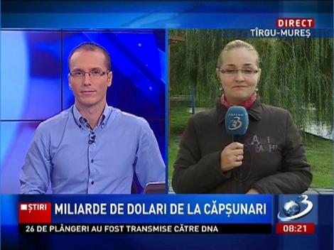 Miliarde de dolari de la căpşunari