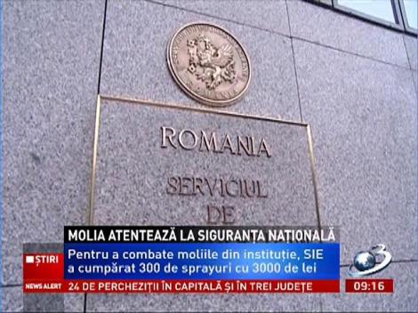Molia atentează la siguranţa naţională