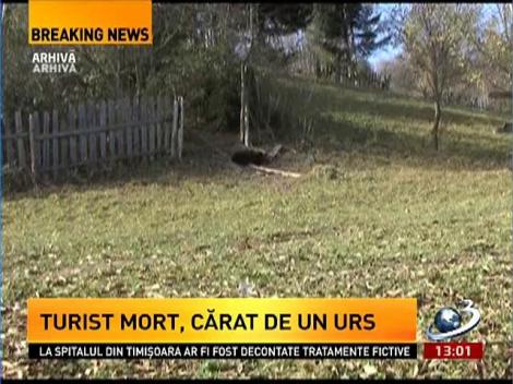 Turist mort, cărat de urs. Nu se cunosc condiţiile în care a murit bărbatul