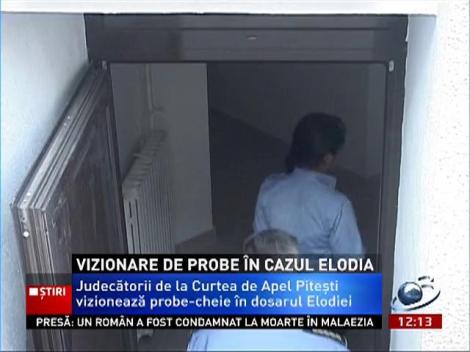 Vizionare de probe în cazul Elodia