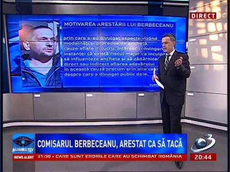 Subiectiv: Motivarea arestării lui Berbeceanu