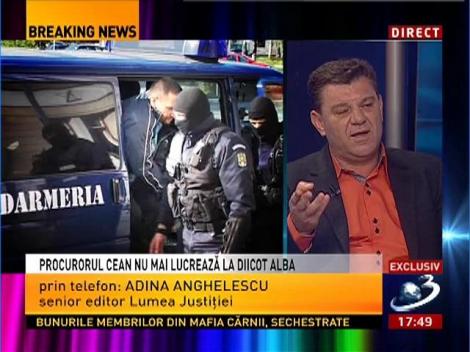 Adina Anghelescu: Au fost audieri maraton