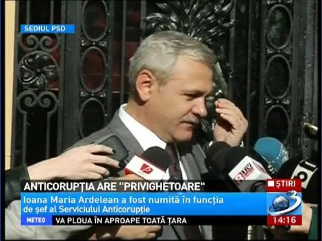 Dragnea, mulţumit de activitatea Ioanei Maria Ardelean