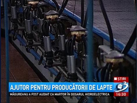 Ajutor pentru producătorii de lapte