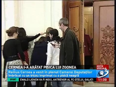 Cum s-a îmbrăcat Remus Cernea în plenul Camerei Deputaţilor
