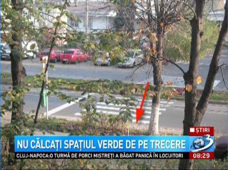 Episod nou cu Dorel! Spaţiu verde, fix în mijlocului trecerii de pietoni