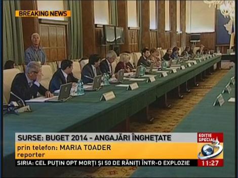Surse: Ce prevede proiectul de buget pentru 2014