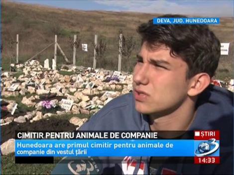 Primul cimitir pentru animale de companie din vestul ţării