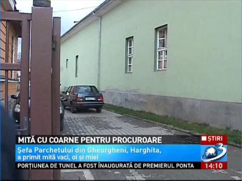 Şefa Parchetului din Gheorgeni a luat mită vaci, oi şi miei