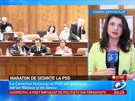 Liderii PSD se reunesc într-o serie de şedinţe la Palatul Parlamentului