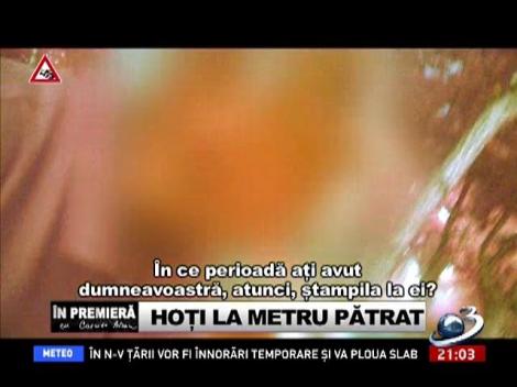 În Premieră: Hoţi la metru pătrat