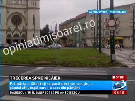 Trecerea de pietoni spre nicaieri, in Timisoara