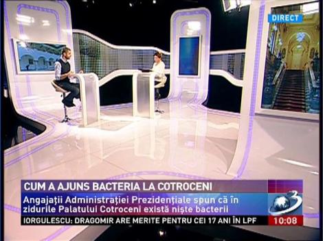 Peretii Palatului Cotroceni, plin de bacterii