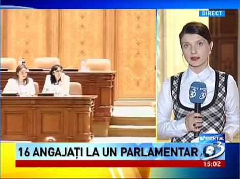 Parlamentul României, furnicarul cu 16 angajaţi la un parlamentar