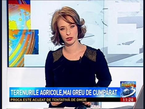 Terenurile agricole, mai greu de cumpărat