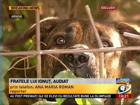 Fratele lui Ionuţ, audiat