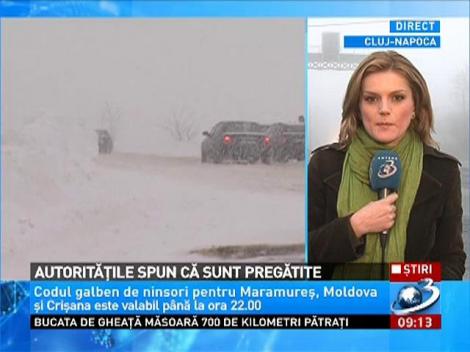 Cod Galben de ninsori în 16 judeţe