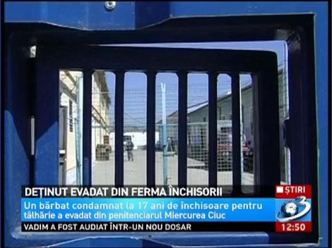 Alertă la Penitenciarul Miercurea Ciuc. Un deţinut a evadat
