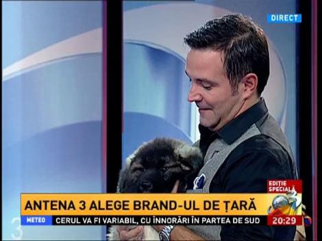 Echipa Frumusete loveste din prima! Doi pui de ciobăneşti mioritici, daruiti la final echipei castigatoare