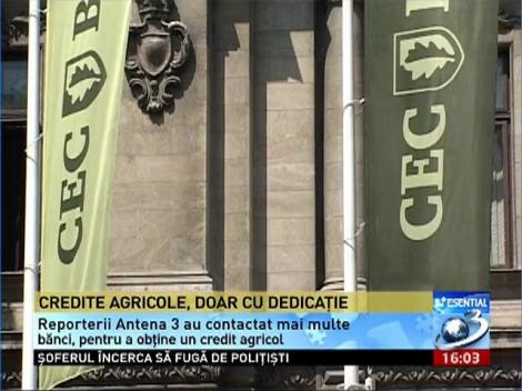 Terenurile agricole nu sunt pentru oricine. Pentru românii care vor să se apuce de agricultură, varianta împrumutului bancar NU există