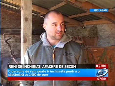 Una dintre cele mai atrăgătoare afaceri de sezon este închiratul renilor