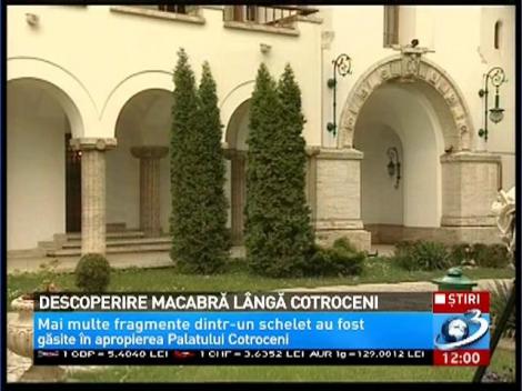 Descopeire macabră lângă porţile Palatului Cotroceni! Un schelet uman a fost găsit