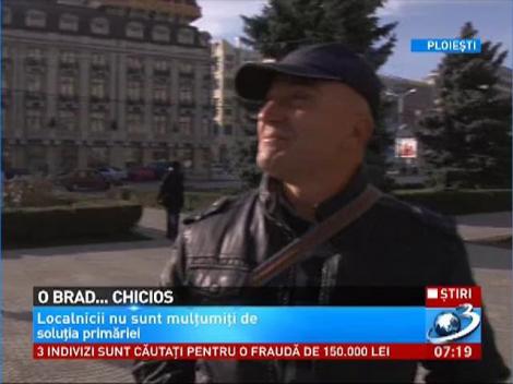 Bradul de Crăciun din Ploieşti nu mai este unul tradiţional ci unul ieșit din tipare