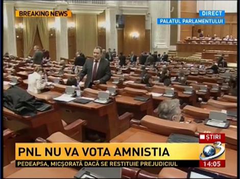 Băsescu le scrie şefilor Parlamentului să nu voteze proiectul privind amnistierea