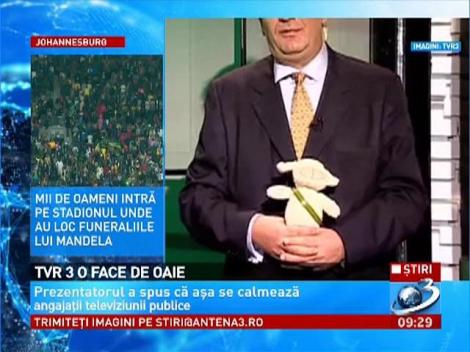 Oaia Pufulica, noua mascotă TVR