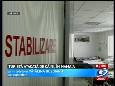 Turistă din străinătate, atacată de maindanezii din Mamaia