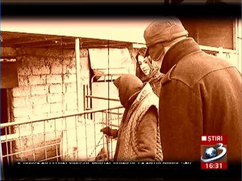 Un Crăciun din vremea comunismului. Cum petreceau românii în epoca de aur