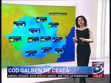 COD GALBEN de ceaţă