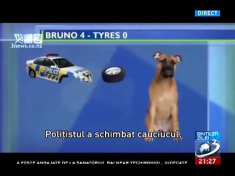 Sinteza Zilei: Cele mai tari gafe din televiziuni