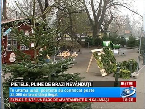 Au rămas brazi nevânduți în piețe