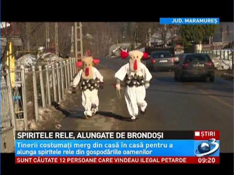 Spiritele rele, alungate de brondosi