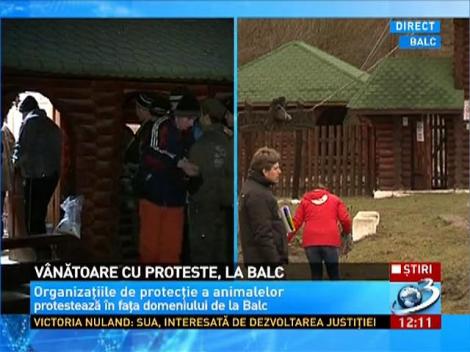 Vanatoare cu proteste, la Balc