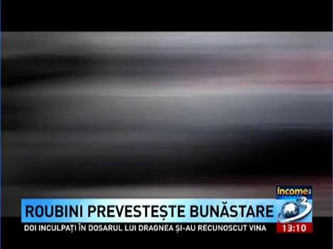 Income: Roubini prevesteste bunastare