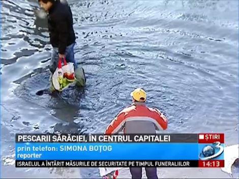 Zeci de pescari au prins peşte cu mâinile din Dâmboviţa
