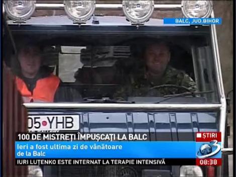 100 de mistreţi împuşcaţi la Balc