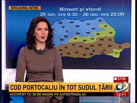 Cod portocaliu de ninsori si viscol, in sudul tarii